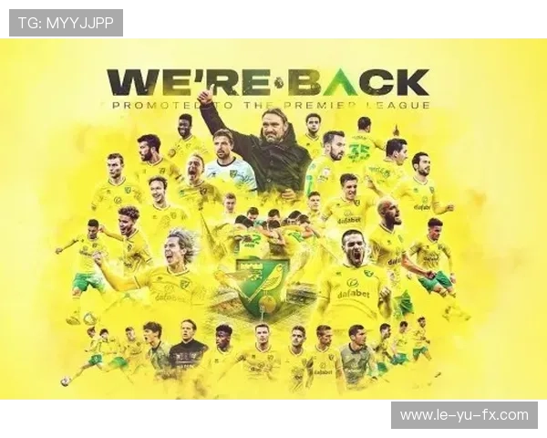 诺维奇金丝雀迎来新生:重振雄风再度出发 诺维奇金丝雀迎来新生:重振雄风再度出发